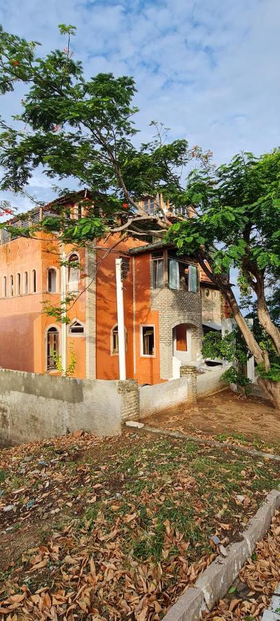 Bodega Da Terra